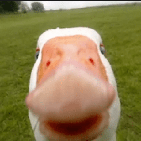 Klevndarama Klevnisepic Github