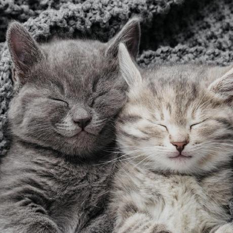 Github Ai Research Center Homepage Backend - Download Gorgeous Gradient Art | 4K