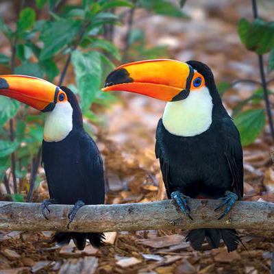 Github Dzaleks Aleks Fishing Fishing Script For Fivem - Download Professional Geometric Image | HD