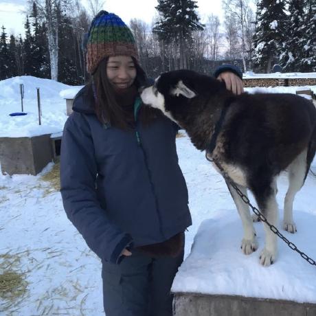 Stella Hou Github - Best Minimal Backgrounds in HD