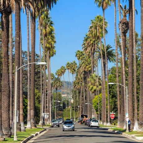 Beverly801 Sales Beverly V Github - Best Light Images in High Resolution