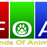 Monash Foa Github - Modern 4K Abstract Images | Free Download