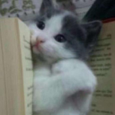 Kyro Github - Premium Gradient Art Gallery - Full HD