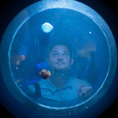 Nickabate Nick Abate Github - Premium Vintage Picture Gallery - 8K