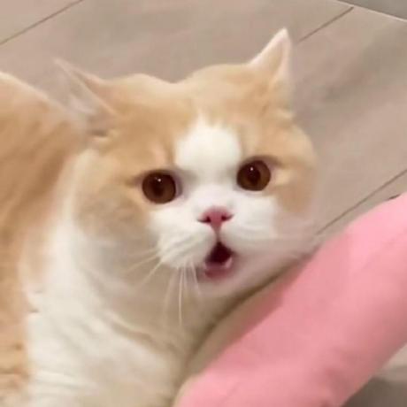 Youarefortunate Fortunate Github - Best Minimal Textures in 4K