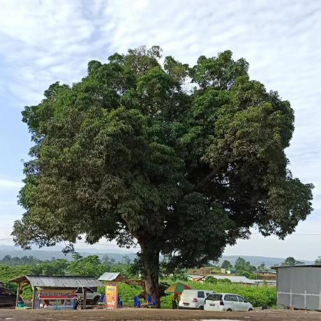 Antique Boy Github - Best Dark Pictures in Desktop