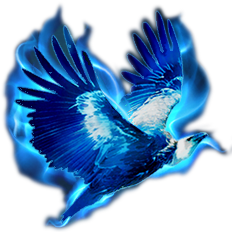 Pro Vulture Github - High Resolution Colorful Images for Desktop