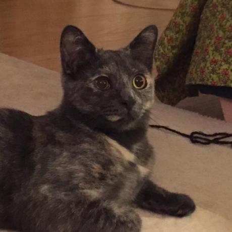 Hiroko Github - Download Elegant Geometric Design | Full HD