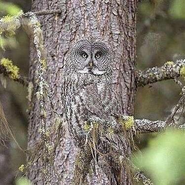 Github Conors Code Conor Review Pull Requests Review Pull Requests - Retina Landscape Designs for Desktop