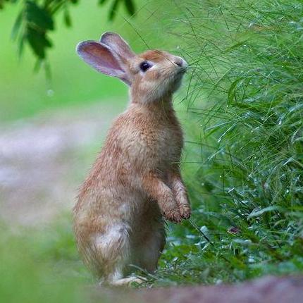 Wangbin Wangbin Github - Download High Quality Nature Texture | 4K