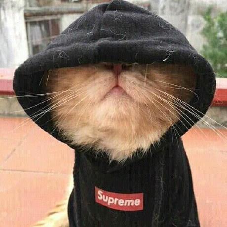 Eryk G Github - Desktop Dark Backgrounds for Desktop