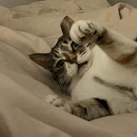 Sdhemily Emily Github - Sunset Pictures - Artistic HD Collection