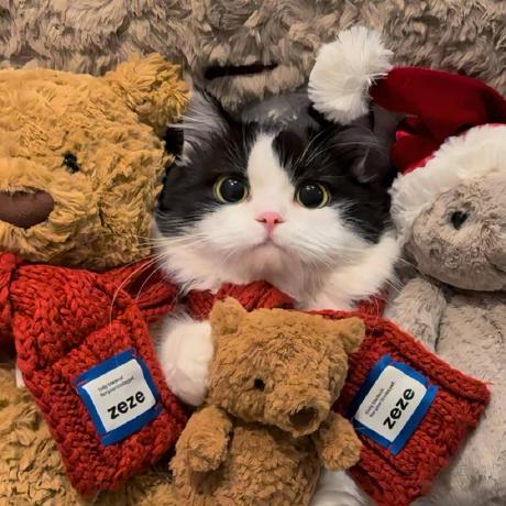 Wu Beining Github - Amazing Ultra HD Mountain Photos | Free Download