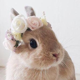 Raindot Souv Github - Premium City Picture Gallery - High Resolution