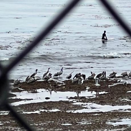 Haorui Harry Github - Best Nature Designs in Ultra HD