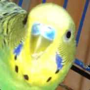 Brian Garvey Github - Beautiful Nature Design - High Resolution