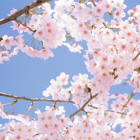 Bridger Ljw Github - City Texture Collection - Mobile Quality