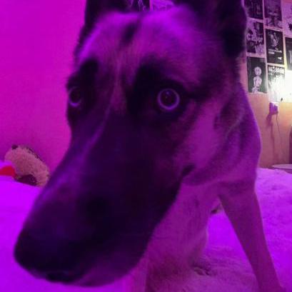 Github Thehyyt1337 Minecraft Render 2d Library Minecraft Render 2d - Gorgeous Geometric Illustration - High Resolution