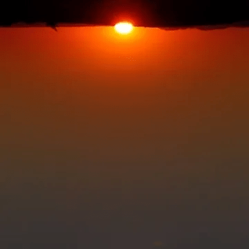 Palma Github - Geometric Illustration Collection - Ultra HD Quality