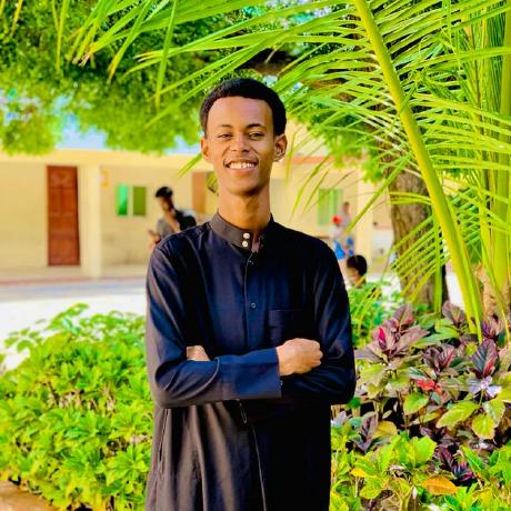 Enghassanalattas Eng Hassan Github