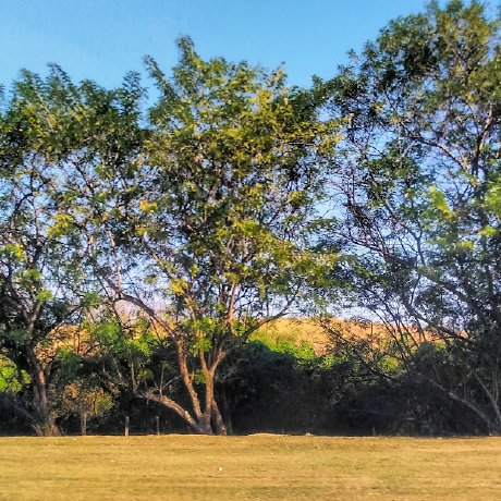 Davi Dokasi Davi Augusto Github - Best Geometric Images in Mobile