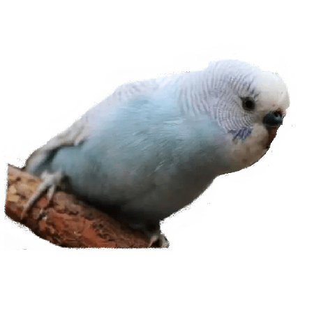 Github Unakar Ai Game Kingglory Ai Rl Algorithm For - Gorgeous Sunset Illustration - Retina