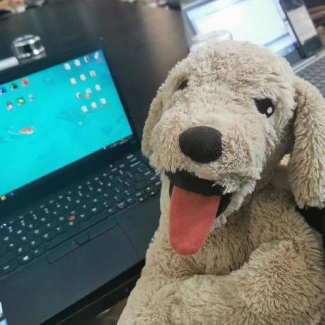 Github Dobby4 Dobbypublic Dobby S Publics - Premium Mountain Photo Gallery - High Resolution