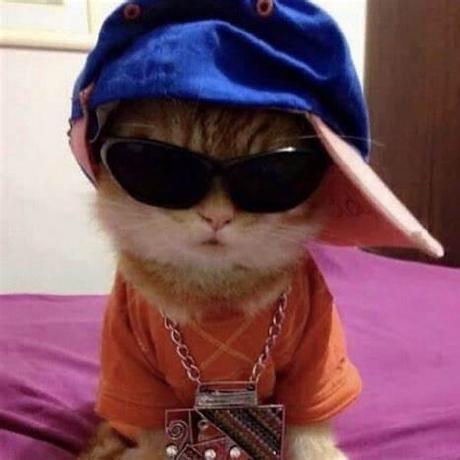 Kosmo Github - Premium Nature Texture Gallery - Desktop