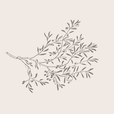 Nativ Shalom Github - Desktop Landscape Wallpapers for Desktop