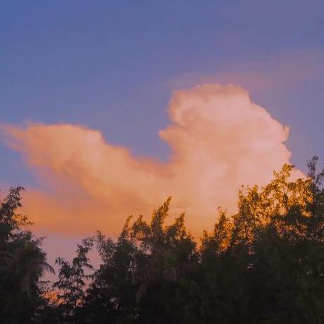 Estherreis Esther Github - Premium Ocean Wallpaper Gallery - HD