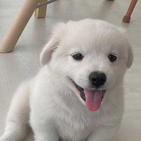 Github Hunkim Upstage Rag From Scratch - Professional Desktop Geometric Images | Free Download