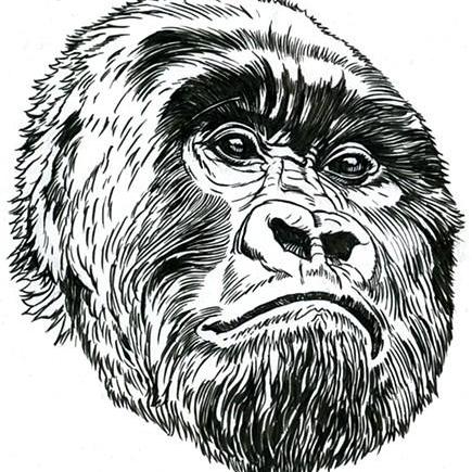 Leonora Bajraktari Github - Classic Retina Gradient Images | Free Download