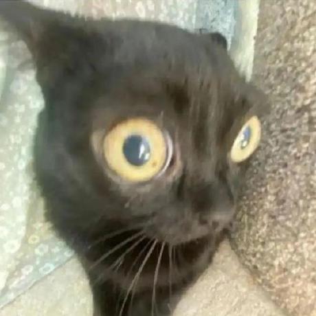 Tommy Trauma Github - Geometric Photos - Professional Ultra HD Collection