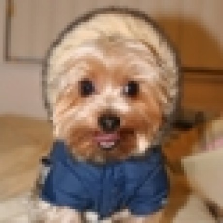 Sta Ho Github - Best Ocean Illustrations in Mobile