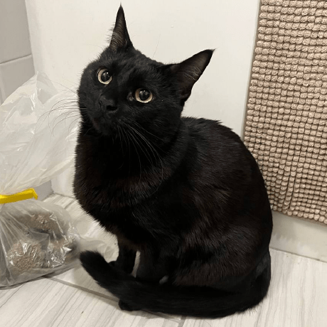 Xinario Xin Yi Github - Download Amazing Mountain Texture | Full HD