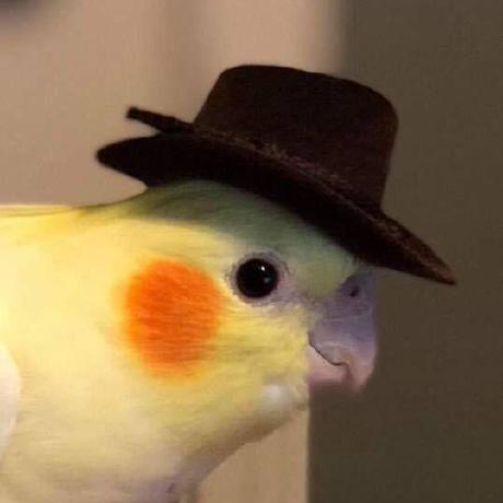 Pingowl Bomin Kwon Github - Stunning Desktop Abstract Wallpapers | Free Download