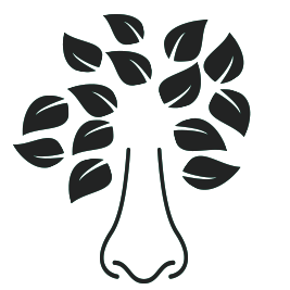 14 Trees Foundation - Mobile Abstract Pictures for Desktop