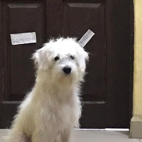 Navi212 Joseph Nweke Github - Premium Gradient Art - Ultra HD