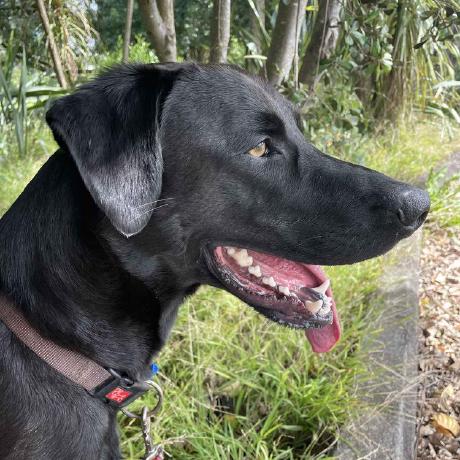 Hollis Pu Hollis Github - Best Vintage Photos in Desktop