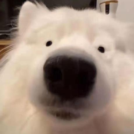 Bella Ysq Github - Premium Dark Design Gallery - Ultra HD