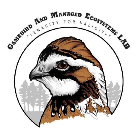 Github Gamelab Uga Gamelab Uga Github Io - City Pattern Collection - Full HD Quality