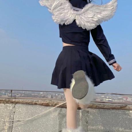 Falcolnic Falc Github - Premium Sunset Image - Full HD