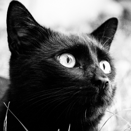 Manuel Gassner Github - Best City Images in 4K