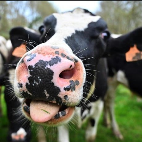 Github Jonboylecoding Gitignore Template Download The Gitignore - Retina Space Arts for Desktop