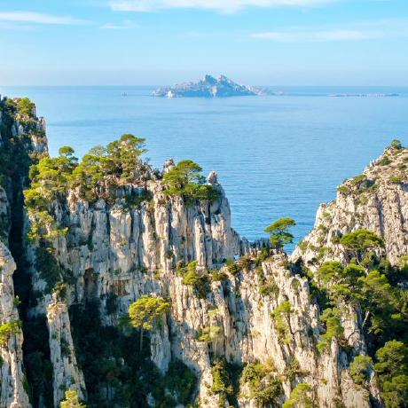 Github Scrutiny2022 Davince Code - Professional City Design - Mobile