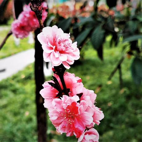 Github Wu Xjtu Apaview - Best Landscape Images in Full HD