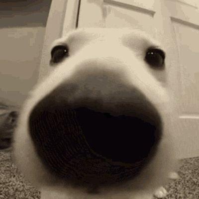 Erick Bueno Erick Bueno Github - Light Designs - Classic Mobile Collection