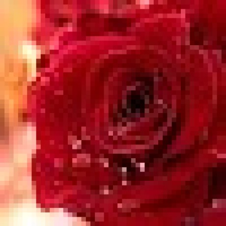 Aaditipatange Aaditi Github - Premium 8K Vintage Illustrations | Free Download