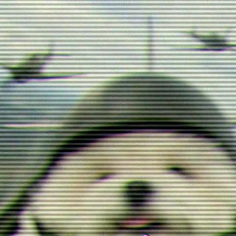 Temimi94 Rogaya Temimi Github - Premium Nature Image Gallery - Full HD