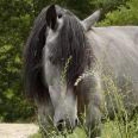 Wyss Github - Full HD City Textures for Desktop